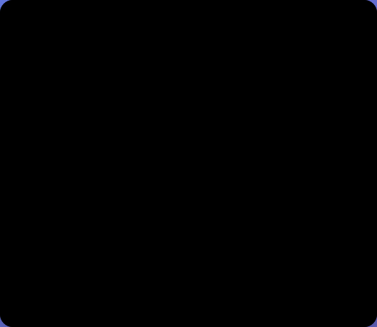 Flash